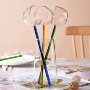 Large Glass Serving Spoon with Long Handle